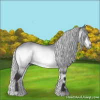 Horse Color:Silver Bay Chinchilla Onyx Brindle 