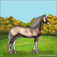 Horse Color:Silver Bay Onyx Brindle 