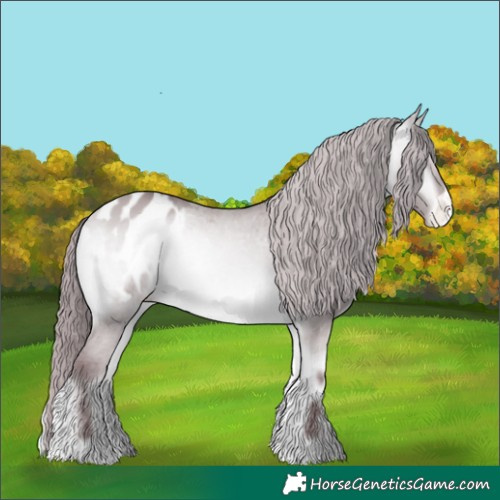 Horse Color:Chocolate Bay Chinchilla Onyx Appaloosa