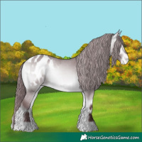Horse Color:Chocolate Bay Chinchilla Onyx Appaloosa 