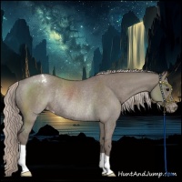 Horse Color:Silver Grullo Varnish Rabicano 
