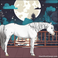 Horse Color:Brown Roan Snowcap 
