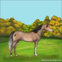 Horse Color:Sable Champagne Snowflake Varnish