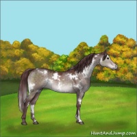 Horse Color:Platinum White Spotted Chocolate Brown Dun 