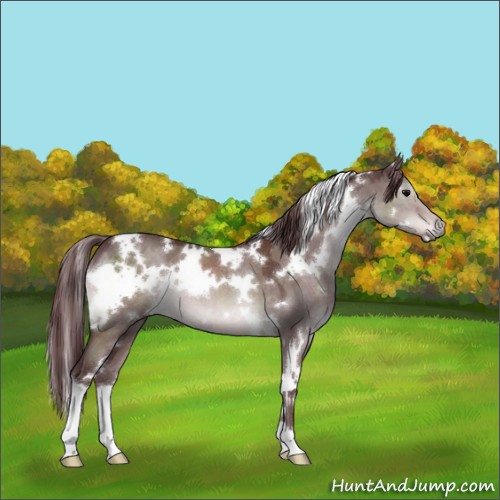 Horse Color:Platinum White Spotted Chocolate Brown Dun 