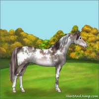 Horse Color:Platinum White Spotted Chocolate Brown Dun 