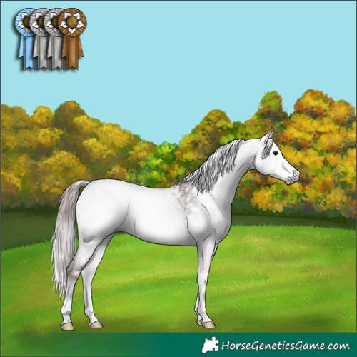 Horse Color:Gray Platinum White Spotted Chocolate Brown Onyx