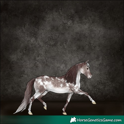 Horse Color:Platinum White Spotted Chocolate Brown Dun 