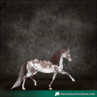 Horse Color:Platinum White Spotted Chocolate Brown Dun