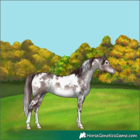 Horse Color:Platinum White Spotted Chocolate Brown Dun 