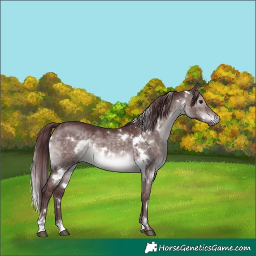 Horse Color:Platinum White Spotted Chocolate Brown Dun