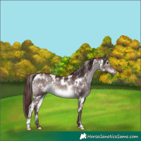 Horse Color:Platinum White Spotted Chocolate Brown Dun 