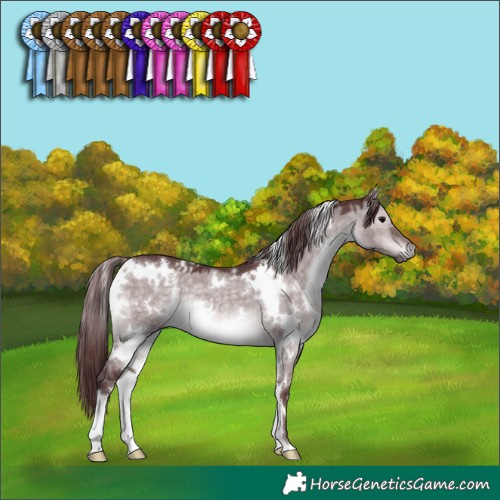 Horse Color:Platinum White Spotted Chocolate Brown Dun 