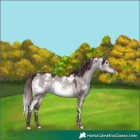 Horse Color:Platinum White Spotted Chocolate Brown Dun 