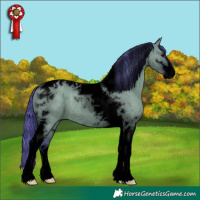 Horse Color:Void Watercolor Grullo Sabino Tobiano 