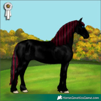Horse Color:Void Painted Black Sabino Splash Tobiano 