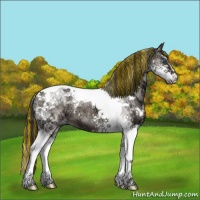 Horse Color:Painted Grullo Ice Onyx Sabino Splash Tobiano Brindle