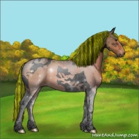 Horse Color:Void Painted Brown Tobiano 