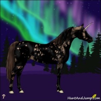 Horse Color:Void White Spotted Bay Dun Mushroom Splash Appaloosa 