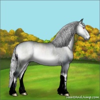 Horse Color:Silver Brown Chinchilla Onyx 