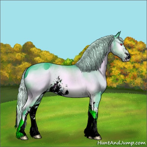 Horse Color:ERROR: UNKNOWN ANOMALY