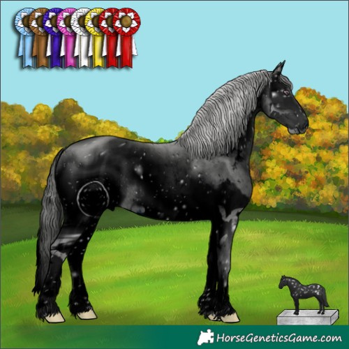Horse Color:ERROR: UNKNOWN ANOMALY