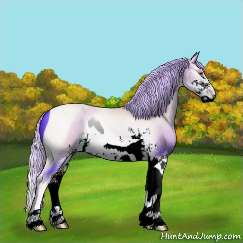 Horse Color:ERROR: UNKNOWN ANOMALY
