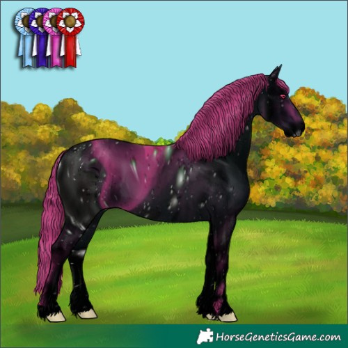 Horse Color:ERROR: UNKNOWN ANOMALY
