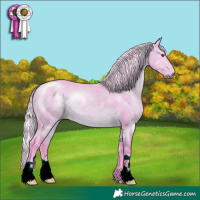 Horse Color:Watercolor Silver Brown Chinchilla Dun 