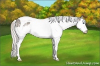 Horse Color:Silver Black Ice Sabino Splash Tobiano 
