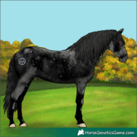 Horse Color:ERROR: UNKNOWN ANOMALY