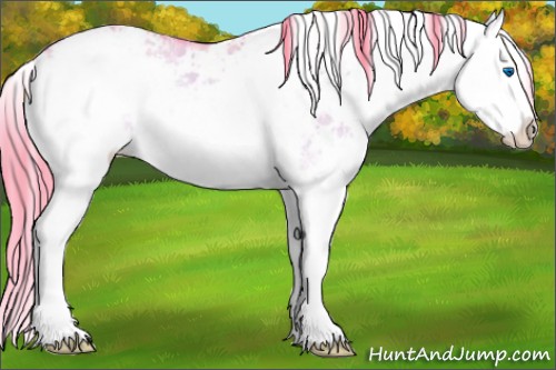 Horse Color:Watercolor Red Dun Ice Onyx Sabino Splash Appaloosa 