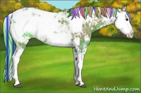 Horse Color:Painted Buckskin Ice Sabino 