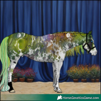 Horse Color:ERROR: UNKNOWN ANOMALY