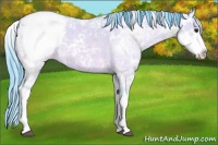 Horse Color:Watercolor Bay Ice Dun Sabino Snowcap 