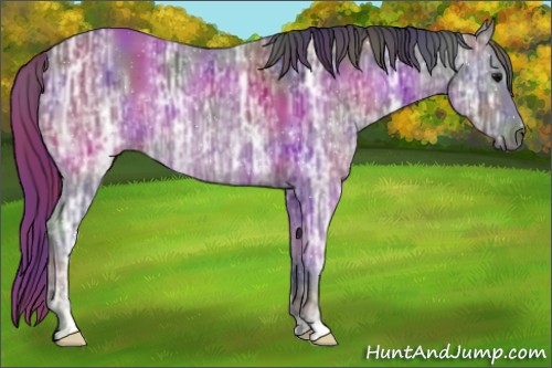 Horse Color:Nacre Black Ice 