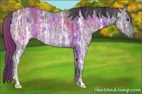 Horse Color:Nacre Black Ice 