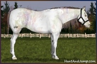 Horse Color:Nacre Liver Red Dun Ice Tobiano 