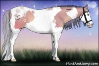 Horse Color:Watercolor Bay Pearl Splash Tobiano 