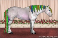 Horse Color:Painted Watercolor Amber Champagne Splash 