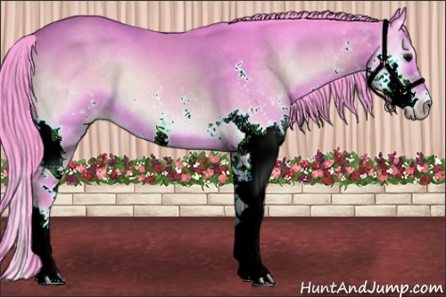 Horse Color:Watercolor Bay Onyx Splash 