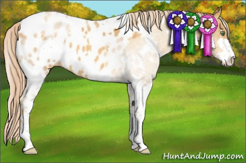 Horse Color:White Spotted Gold Cream Champagne Sabino Appaloosa 