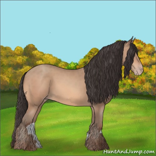 Horse Color:Amber Champagne 