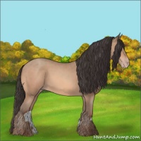 Horse Color:Amber Champagne 