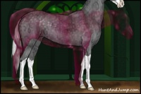Horse Color:Silver Black Chinchilla Ice Splash 