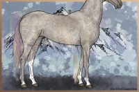 Horse Color:Silver Grullo Ice 