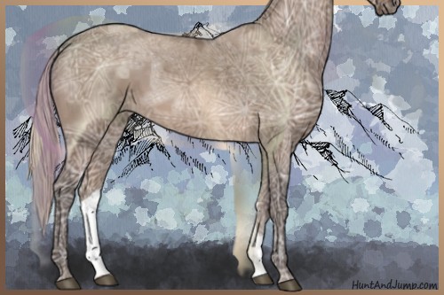 Horse Color:Silver Brown Ice Dun 