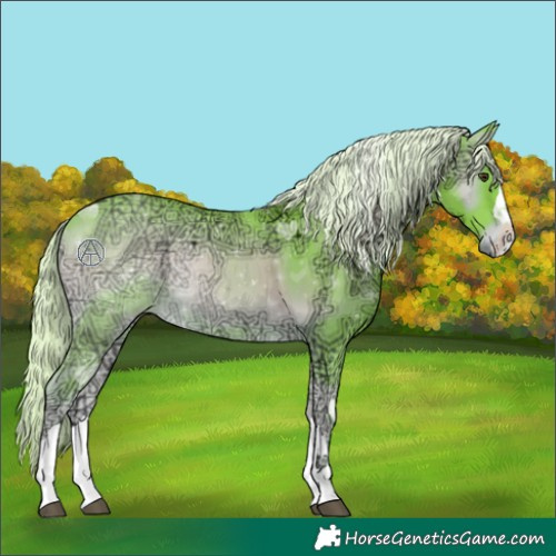 Horse Color:Watercolor Chocolate Palomino Ice Onyx Rabicano 