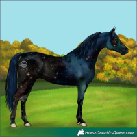 Horse Color:ERROR: UNKNOWN ANOMALY