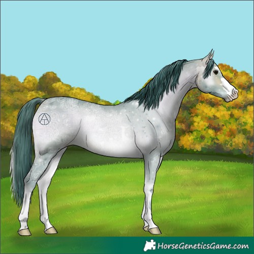 Horse Color:Watercolor Bay Ice Onyx Rabicano 